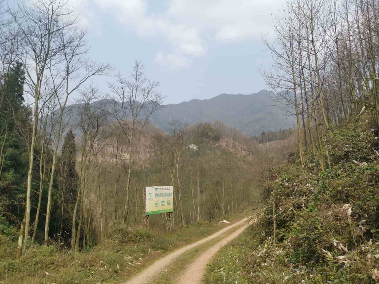 三木藥材基地